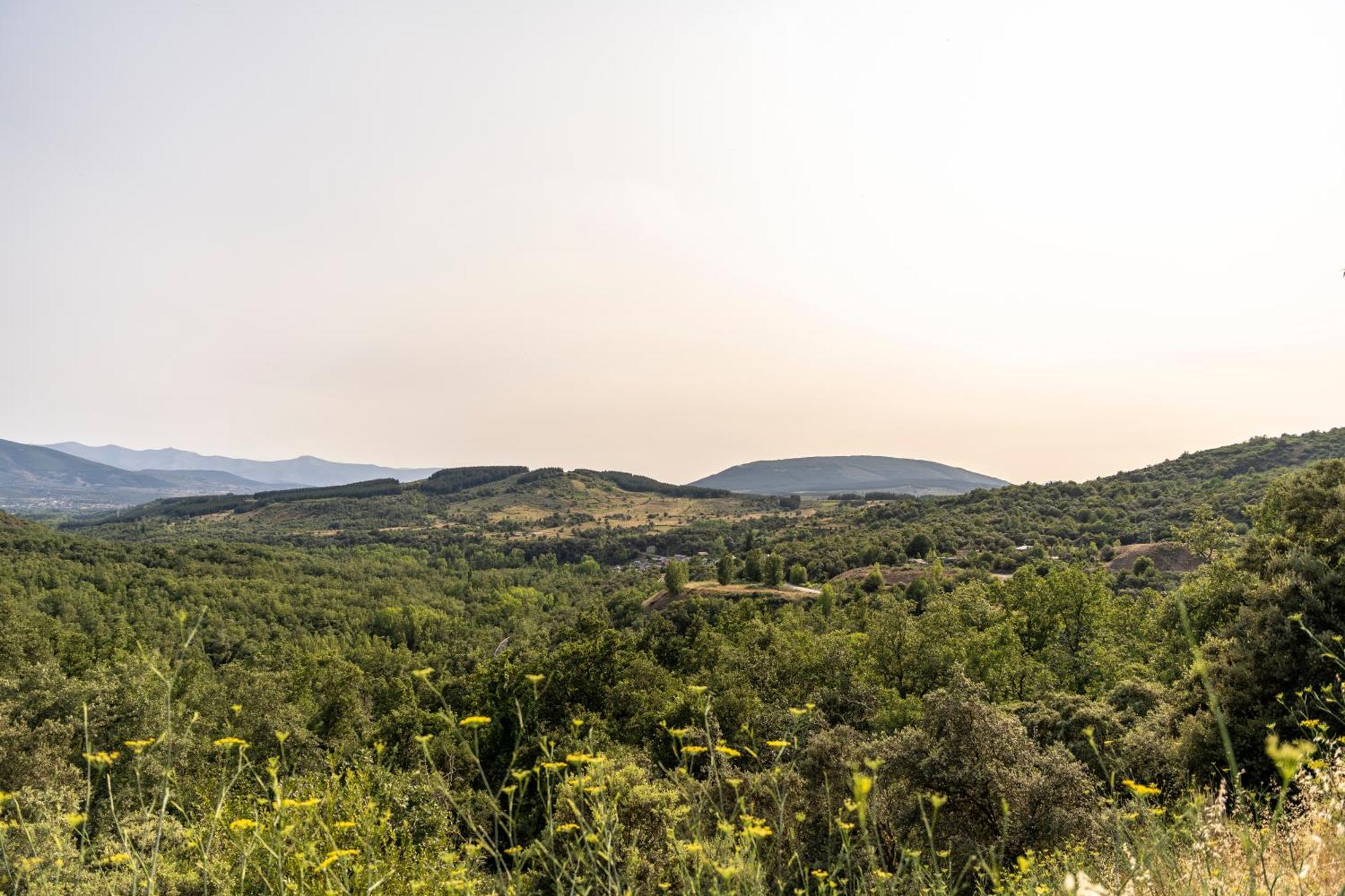 Casa De Turismo Rural Sardom2 벰비브레 외부 사진